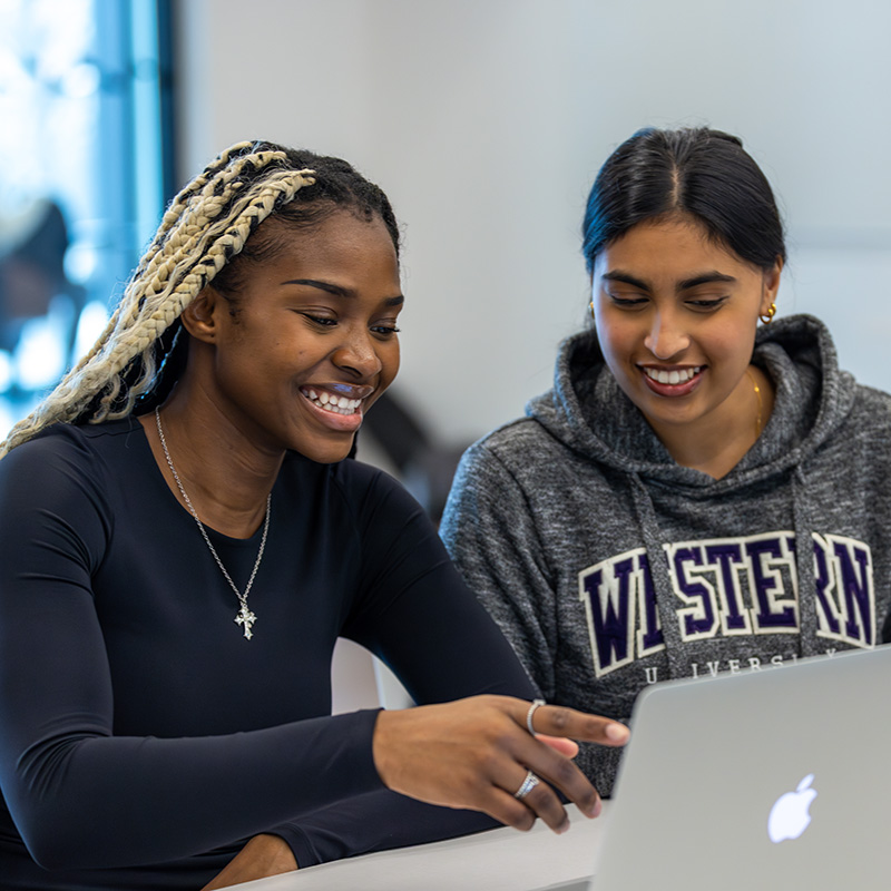 Two people sitting at a desk working together on a laptop.